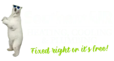 southern air logo with transparent background