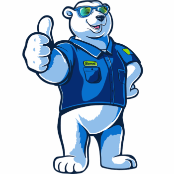 CTA SouthernAir_Bear1